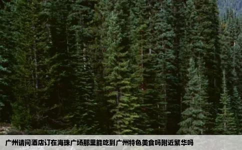 广州请问酒店订在海珠广场那里能吃到广州特色美食吗附近繁华吗