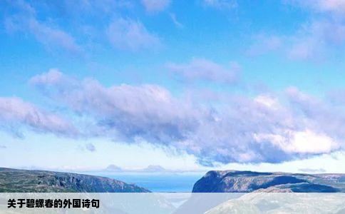 关于碧螺春的外国诗句