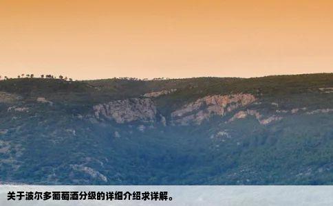 关于波尔多葡萄酒分级的详细介绍求详解。