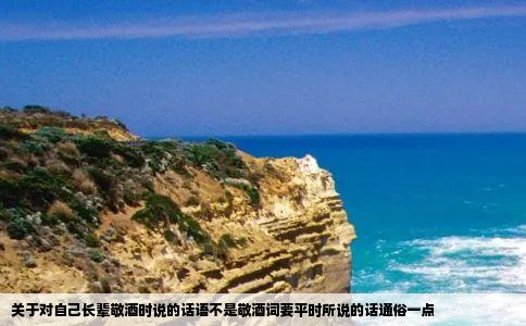 关于对自己长辈敬酒时说的话语不是敬酒词要平时所说的话通俗一点