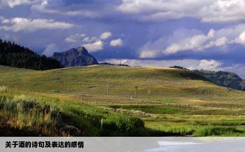 关于酒的诗句及表达的感情