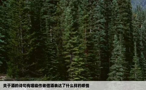 关于酒的诗句有哪些作者借酒表达了什么样的感情