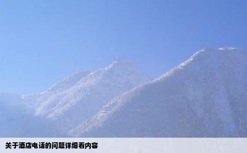 关于酒店电话的问题详细看内容