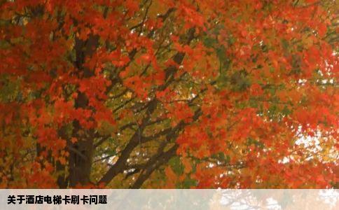 关于酒店电梯卡刷卡问题