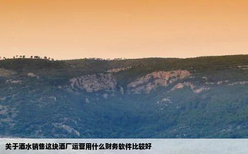 关于酒水销售这块酒厂运营用什么财务软件比较好