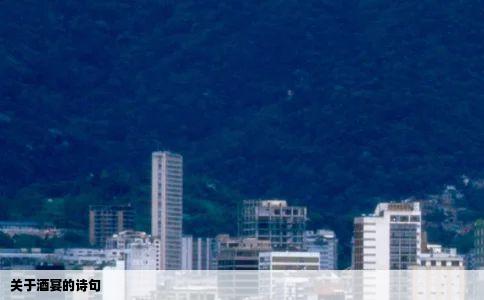 关于酒宴的诗句