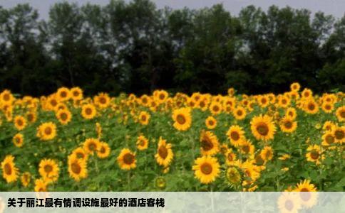 关于丽江最有情调设施最好的酒店客栈