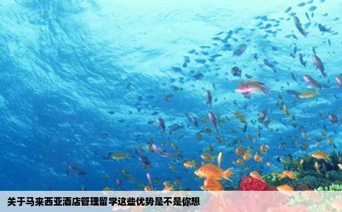 关于马来西亚酒店管理留学这些优势是不是你想