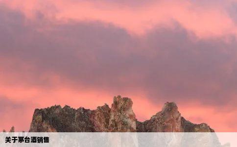 关于茅台酒销售