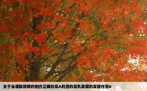 关于米酒酿醪糟的制作正确的是A利用的是乳酸菌的发酵作用B