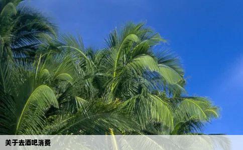 关于去酒吧消费