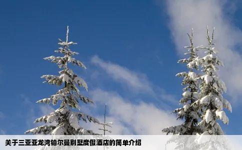 关于三亚亚龙湾铂尔曼别墅度假酒店的简单介绍