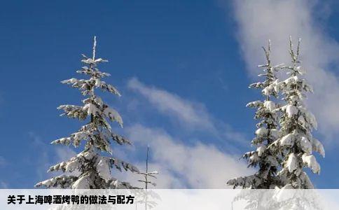 关于上海啤酒烤鸭的做法与配方