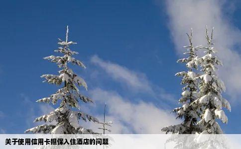 关于使用信用卡担保入住酒店的问题