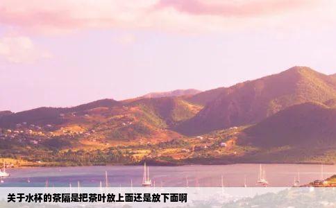 关于水杯的茶隔是把茶叶放上面还是放下面啊