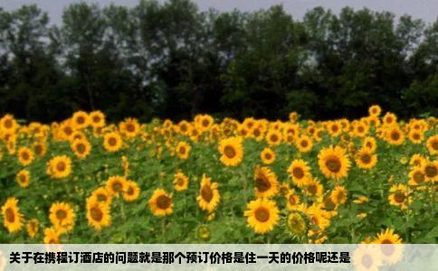 关于在携程订酒店的问题就是那个预订价格是住一天的价格呢还是