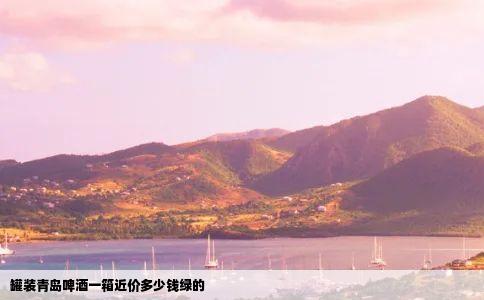 罐装青岛啤酒一箱近价多少钱绿的