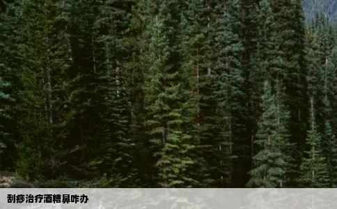 刮痧治疗酒糟鼻咋办