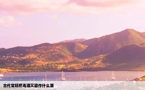 古代宫廷把毒酒又称作什么酒