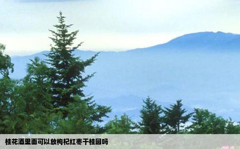 桂花酒里面可以放枸杞红枣干桂圆吗