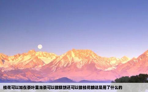 桂花可以加在茶叶里泡茶可以做糕饼还可以做桂花糖这是用了什么的