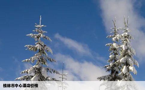 桂林市中心酒店价格