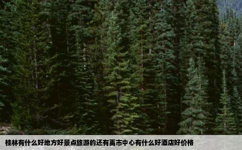 桂林有什么好地方好景点旅游的还有离市中心有什么好酒店好价格