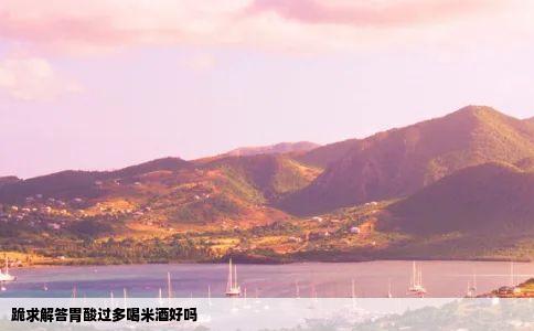 跪求解答胃酸过多喝米酒好吗