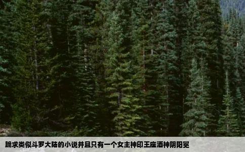 跪求类似斗罗大陆的小说并且只有一个女主神印王座酒神阴阳冕