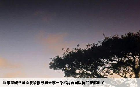 跪求拿破仑全面战争修改器分享一个给我要可以用的先多谢了