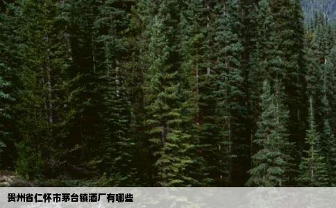 贵州省仁怀市茅台镇酒厂有哪些