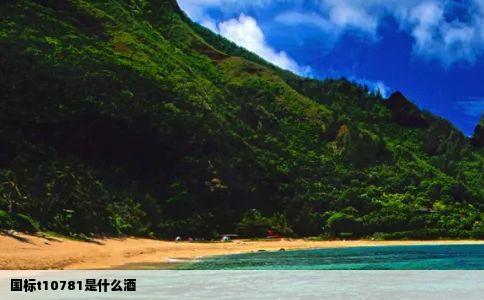 国标t10781是什么酒