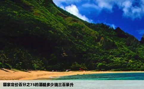 国家定价百分之75的酒精多少钱三百豪升