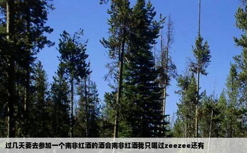 过几天要去参加一个南非红酒的酒会南非红酒我只喝过zeezee还有