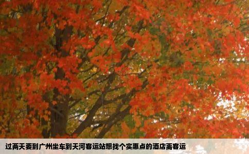 过两天要到广州坐车到天河客运站想找个实惠点的酒店离客运