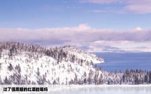 过了保质期的红酒能喝吗
