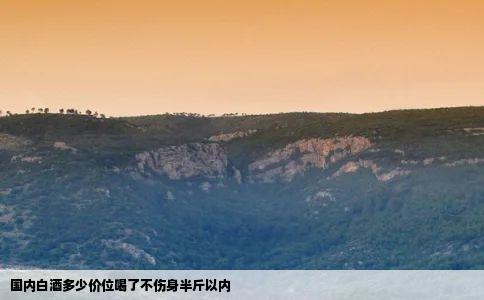 国内白酒多少价位喝了不伤身半斤以内