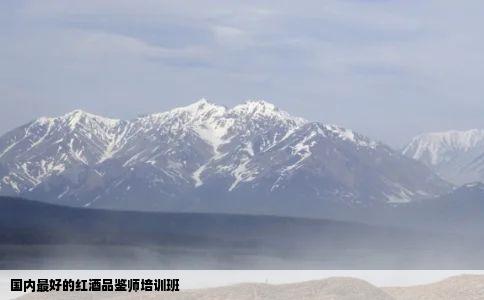国内最好的红酒品鉴师培训班