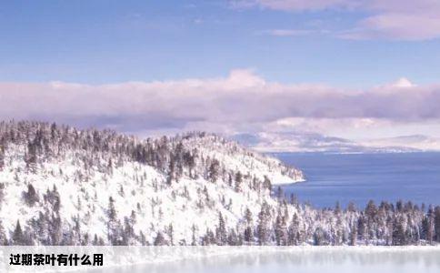 过期茶叶有什么用