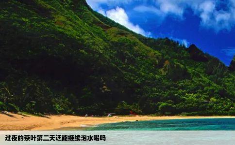 过夜的茶叶第二天还能继续泡水喝吗