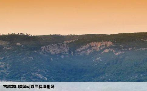 古越龙山黄酒可以当料酒用吗