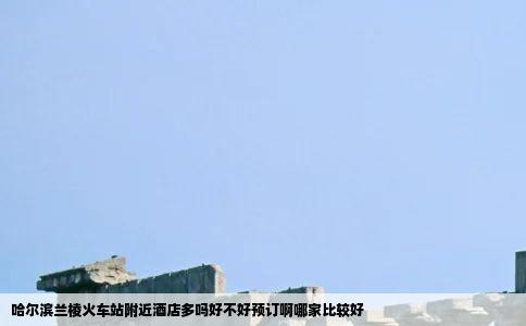 哈尔滨兰棱火车站附近酒店多吗好不好预订啊哪家比较好