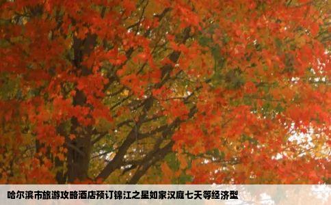 哈尔滨市旅游攻略酒店预订锦江之星如家汉庭七天等经济型