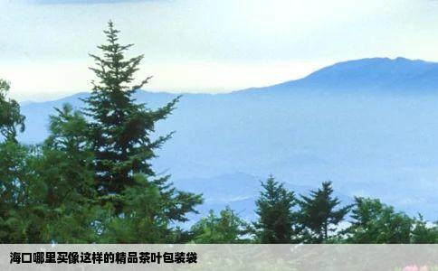 海口哪里买像这样的精品茶叶包装袋