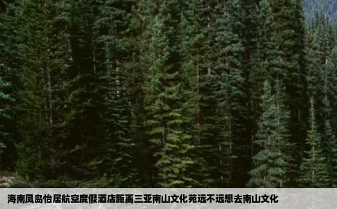海南凤岛怡居航空度假酒店距离三亚南山文化苑远不远想去南山文化