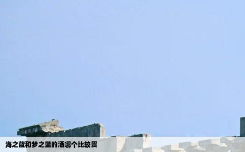 海之蓝和梦之蓝的酒哪个比较贵