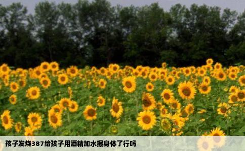 孩子发烧387给孩子用酒精加水擦身体了行吗