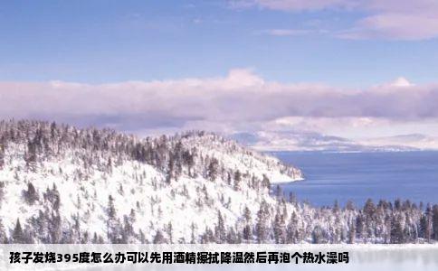 孩子发烧395度怎么办可以先用酒精擦拭降温然后再泡个热水澡吗