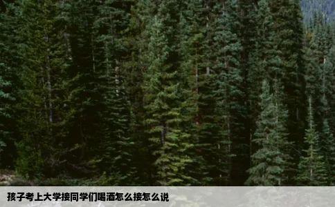 孩子考上大学接同学们喝酒怎么接怎么说