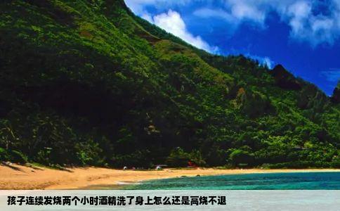 孩子连续发烧两个小时酒精洗了身上怎么还是高烧不退